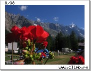 View alpi-034