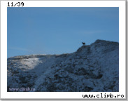 View bucsoiu-029